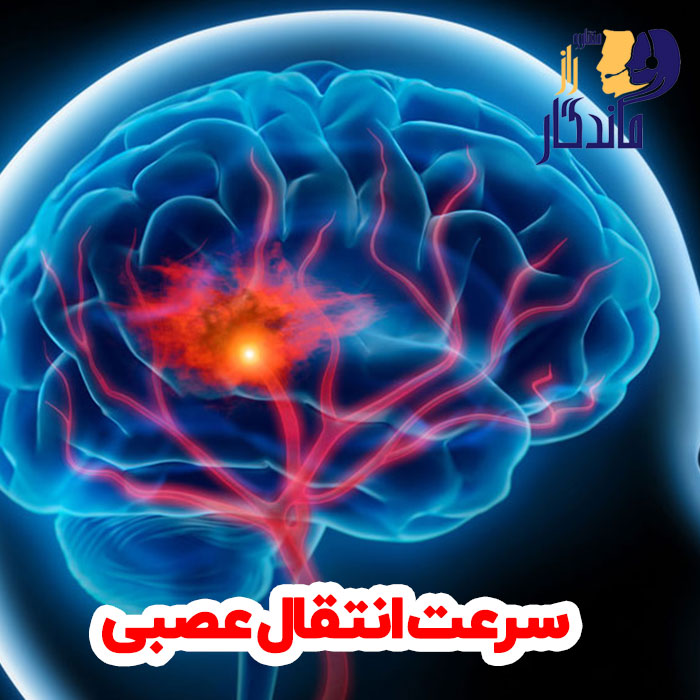 سرعت انتقال عصبی