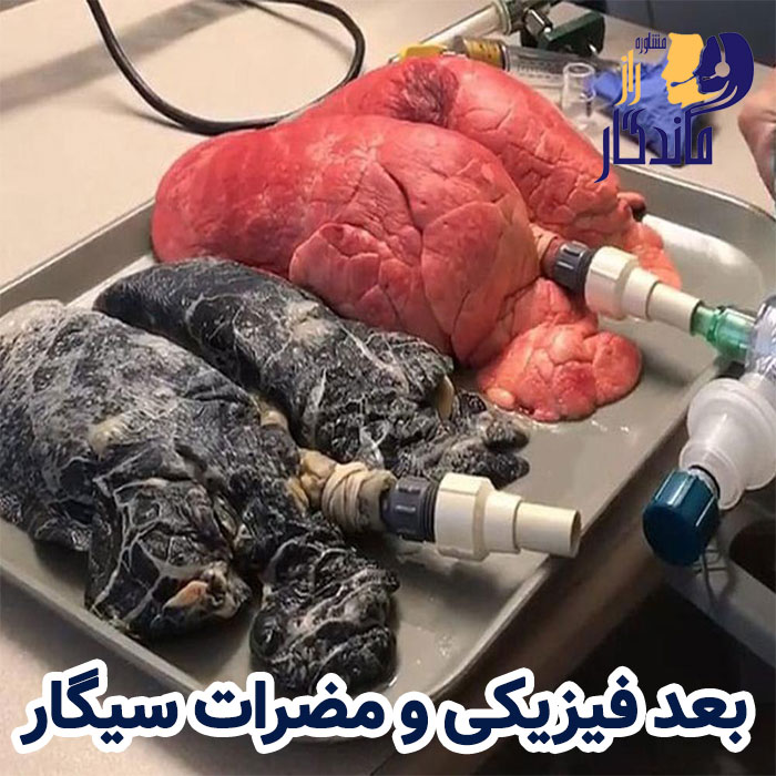 بعد فیزیکی و مضرات سیگار