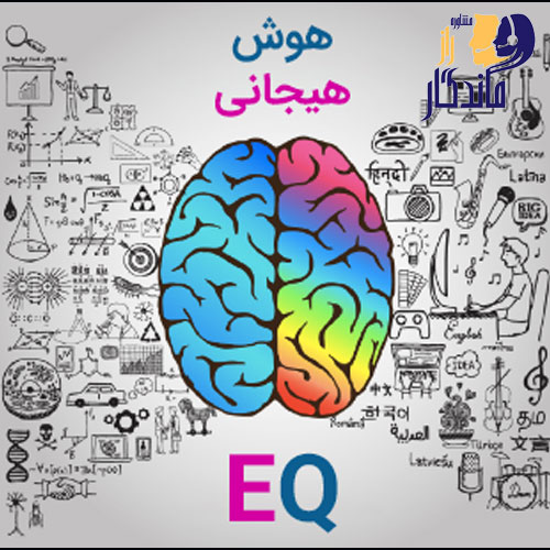 هوش هیجانی یا همام ای کیو